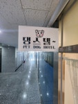 댕스텔