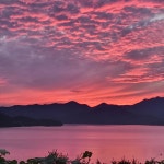 청풍하트레이크펜션