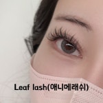 벨르뮤 청라점 눈썹&속눈썹펌&연장