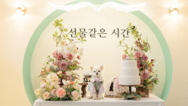 스테이 선물같은시간