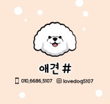 애견샵