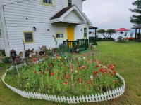 청풍하트레이크펜션