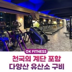 오케이피트니스 대신점 헬스&PT