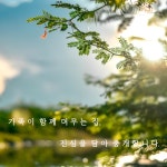 갑천원탑공인중개사사무소