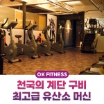 웅진헬스원OK대리점 | 오케이 피트니스 수영점 헬스PT