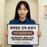 퍼피댕 안심분양소 강아지분양 애견입양 천안아산점