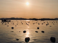 여수동동수산