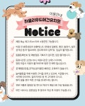 하울리우드 애견유치원
