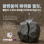 프리미엄태권마루태권도장 새솔동점
