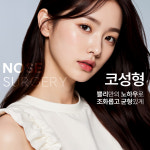 쁠리성형외과의원