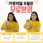 인천강아지분양 테디럽