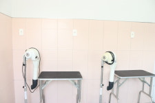 양주루미그룸애견미용학원