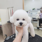 몽그라미