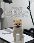 댕모먼트
