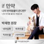 이프동물의료센터