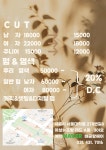 랑헤어