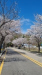 연천세차장