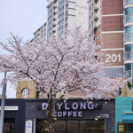 데이롱카페 일산하늘마을점