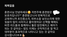 강아지방문훈련 올바른참견