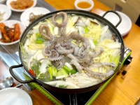이미견 밥엔 낙지볶음