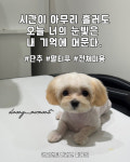 댕모먼트