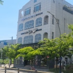 더혼합기도우슈 산하도장
