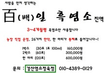 경산염소정육점