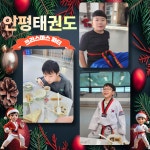 인평태권도