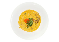 느티나무의사랑 카페