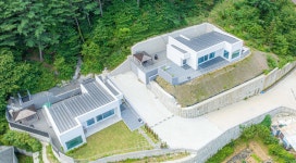 머스트화이트