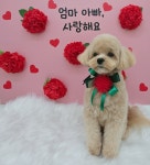 오늘도이쁘개
