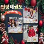 인평태권도
