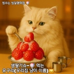 빙달 평택점