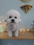 순돌이 펫 미장원