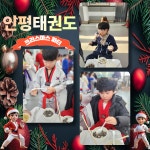 인평태권도