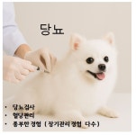 금나래동물병원