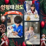 인평태권도