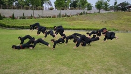 합기도용무체육관