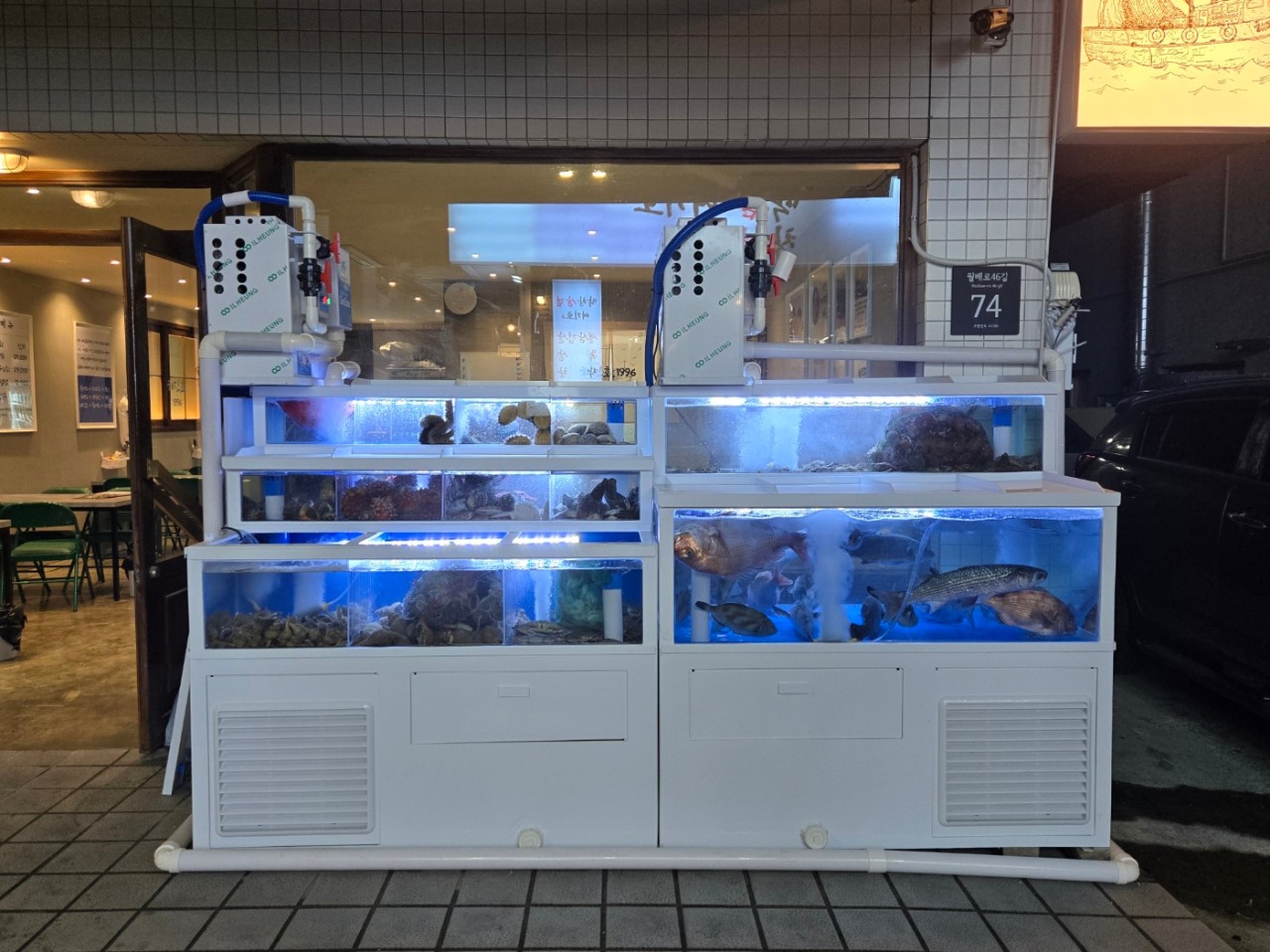 해진호1996 회/해산물