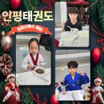 인평태권도