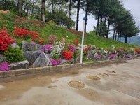 카페 담다