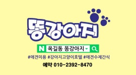 똥강아지 애견미용&호텔유치원