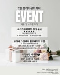 뷰티라운지케이 네일속눈썹피부 청라가정점