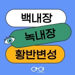아이마트안경원 분당점