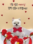멍데렐라