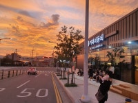 거북이동네 울산매곡점