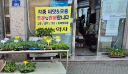 영신농약사