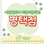 네발클로버애견미용학원