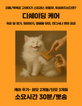 강남고양이호텔 미용 츄캣