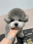 헬로우버디 판교밸리점